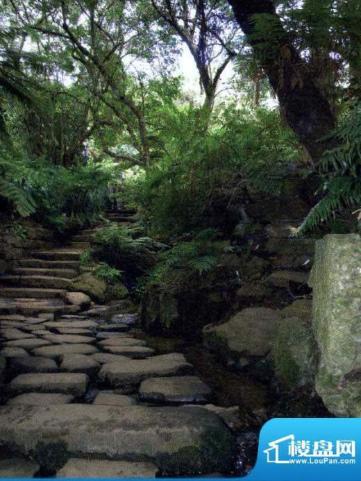 凤凰山庄