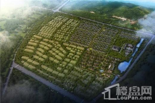 金基九月森林