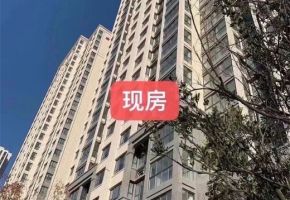 星叶枫庭