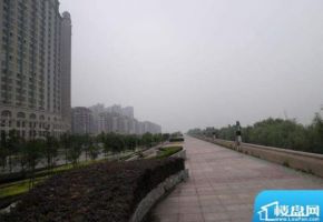 明发长江派对