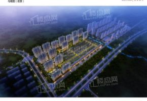 碧桂园翡丽庄园