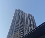 施工进度图