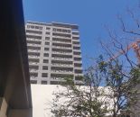 施工进度图