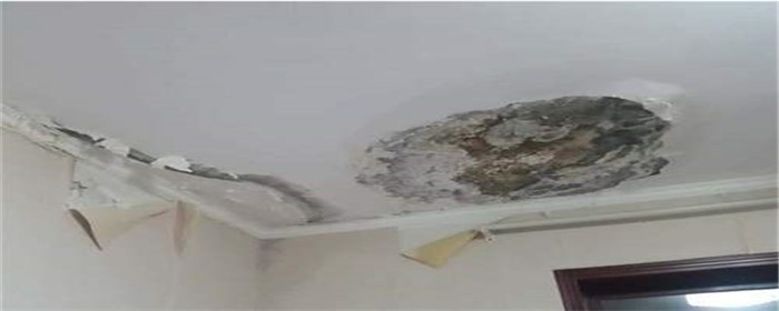 房顶漏水3.jpg