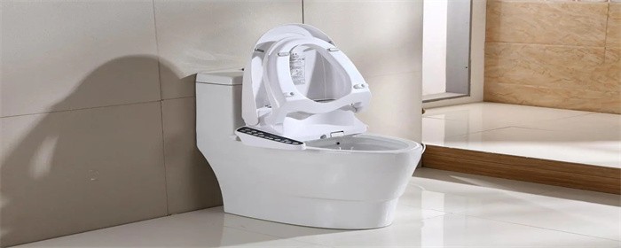 马桶4.webp.jpg