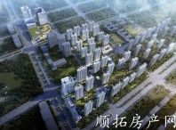 效果图